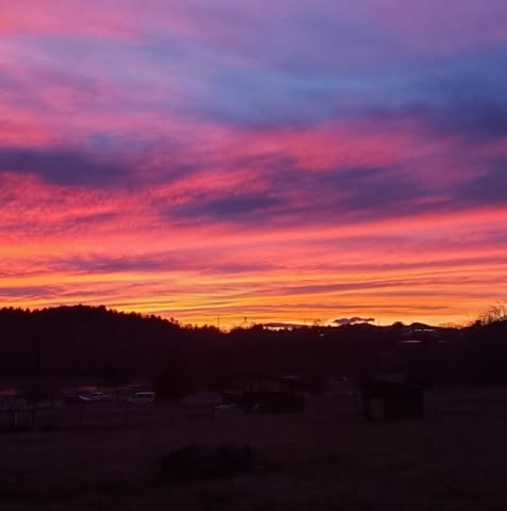 Meet your Posher, Virginia